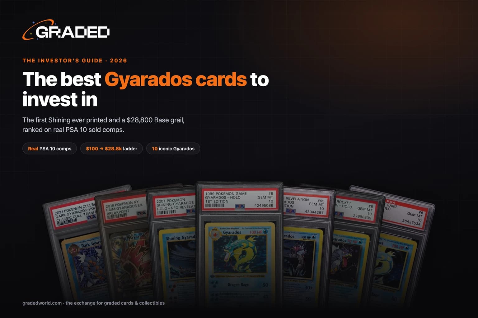 The Best Gyarados Cards to Invest In (2026): The First Shining Ever & the Ghost Gold Star, in PSA 10