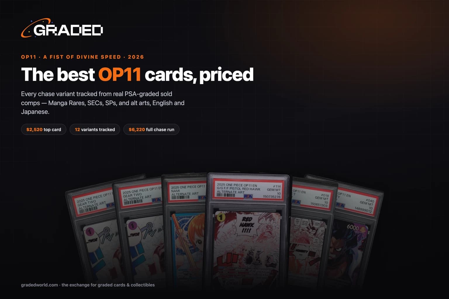 The Best OP11 Cards to Invest In (2026): Every A Fist of Divine Speed Chase Variant, in PSA 10