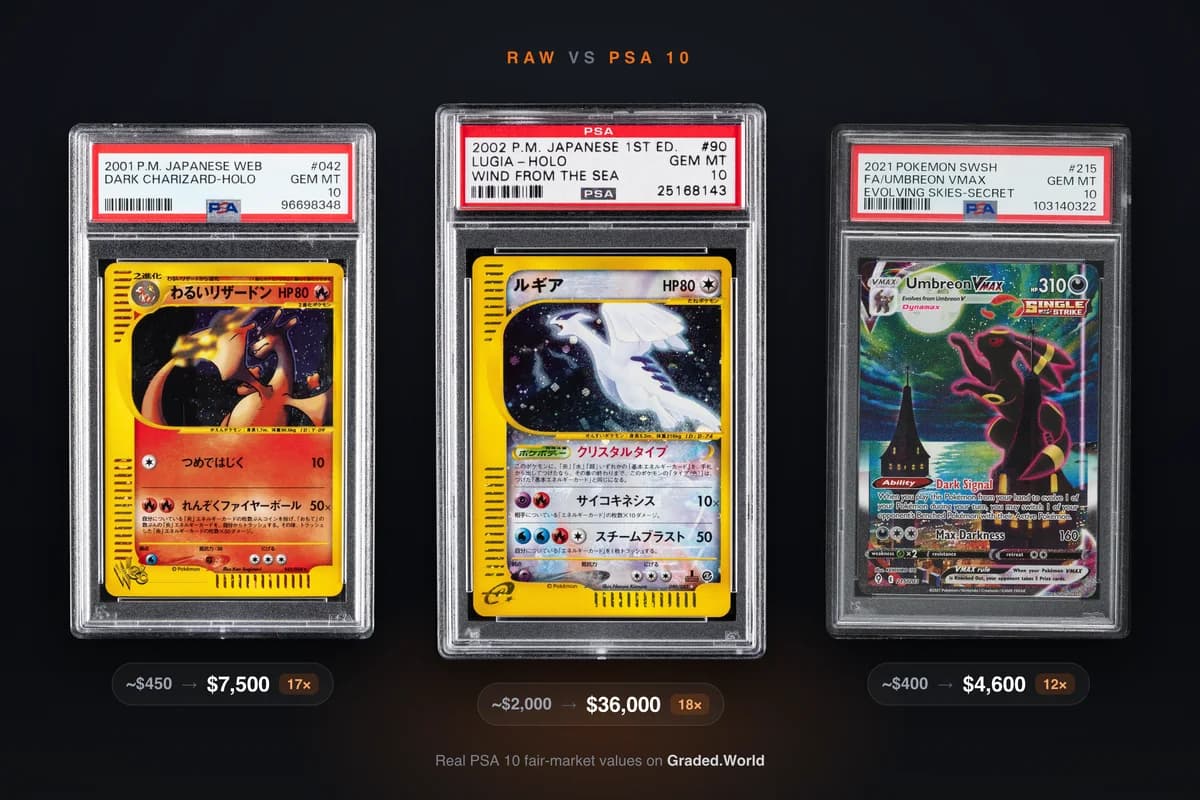PSA 10 vs Raw: How Much Does Grading Increase a Card's Value?